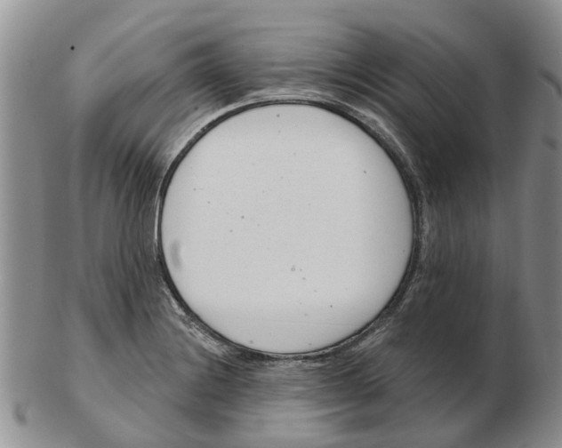 X0000103171228200809121853