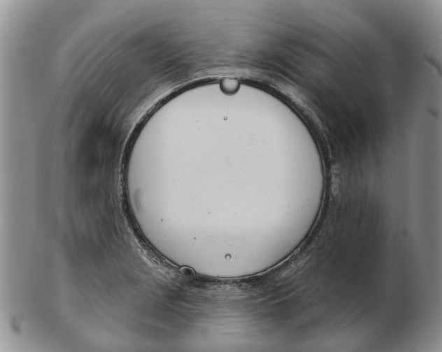 X0000103171229200809121853