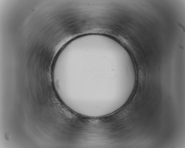 X0000103171230200809121853