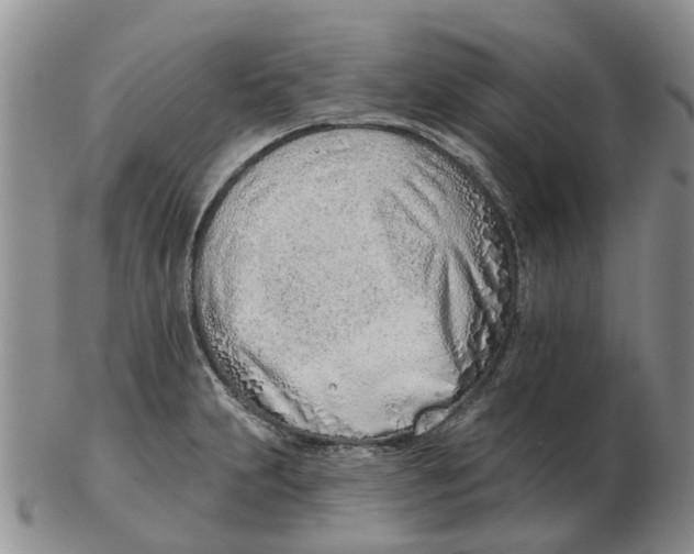 X0000103171231200809121853