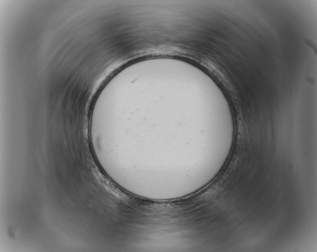 X0000103171232200809121853