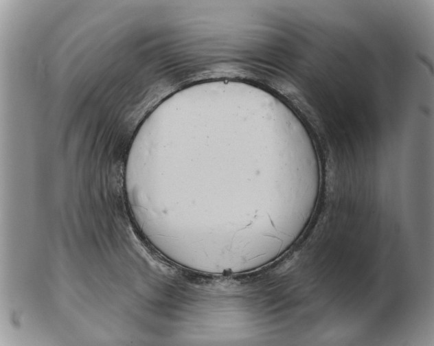 X0000103171233200809121853