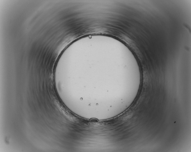 X0000103171234200809121853