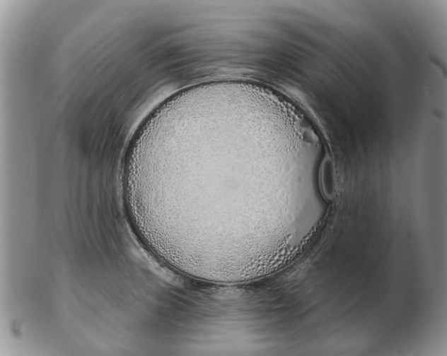 X0000103171235200809121853