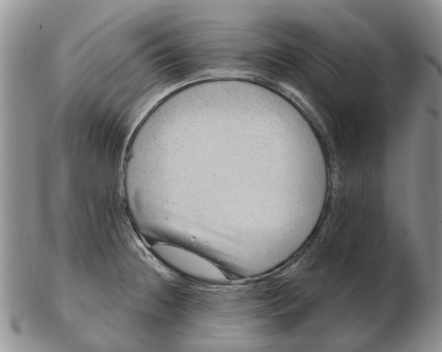 X0000103171236200809121853