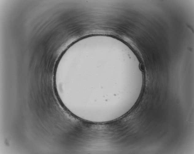 X0000103171237200809121853