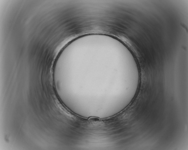 X0000103171238200809121853