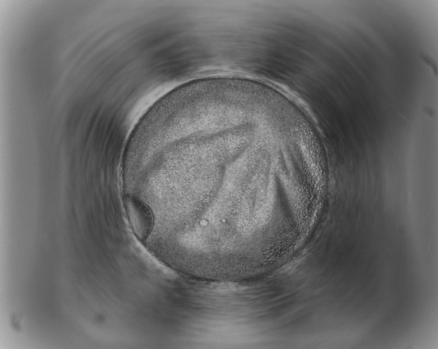 X0000103171239200809121854