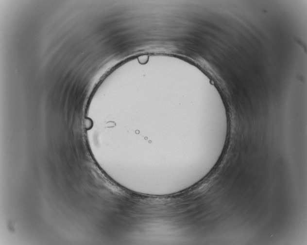 X0000103171240200809121854