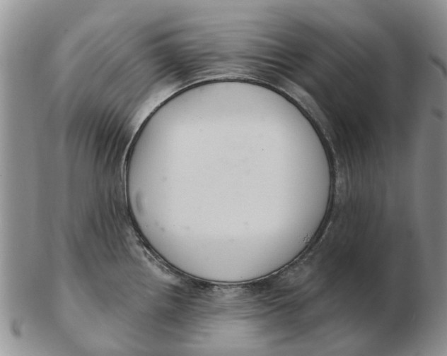 X0000103171242200809121854