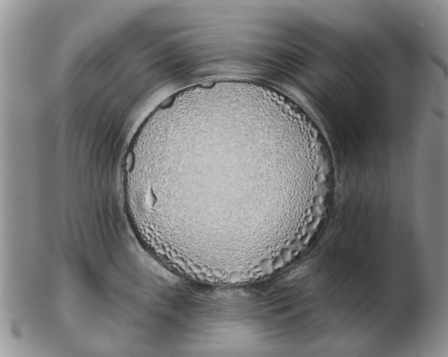 X0000103171243200809121854