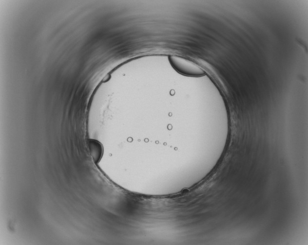 X0000103171244200809121854