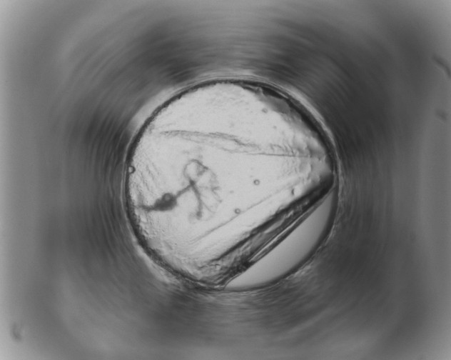 X0000103171245200809121854