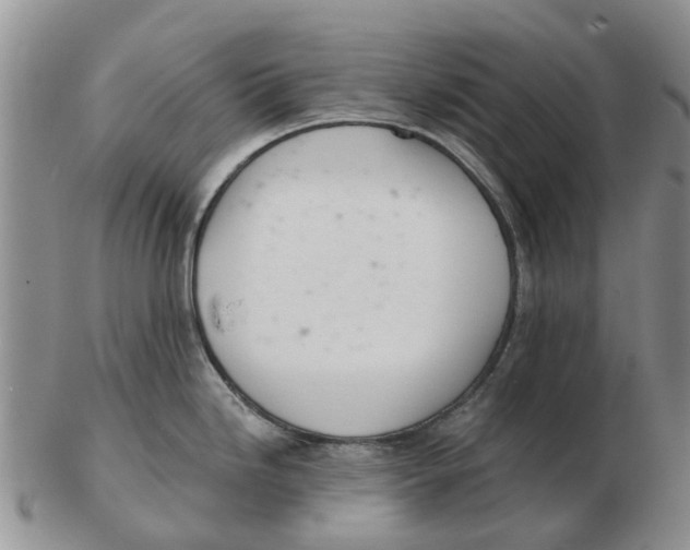 X0000103171246200809121854