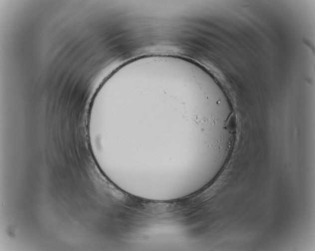 X0000103171248200809121854