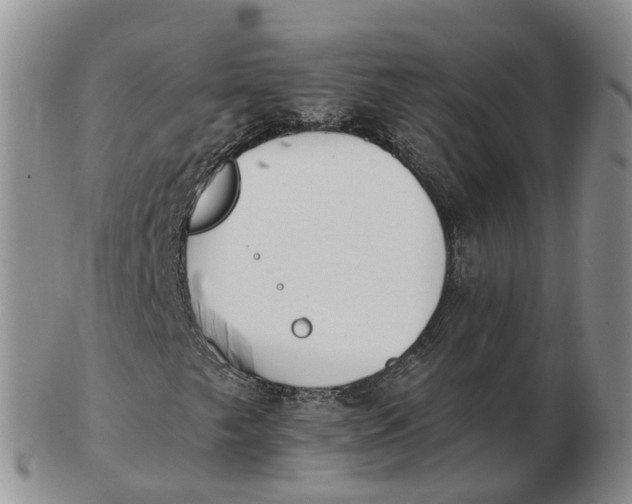 X0000103171249200809121853