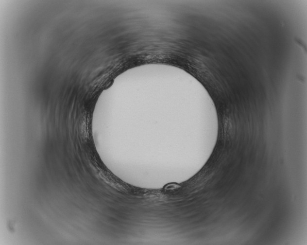 X0000103171250200809121853