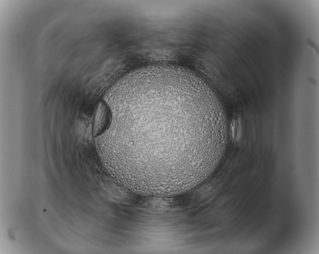 X0000103171251200809121853