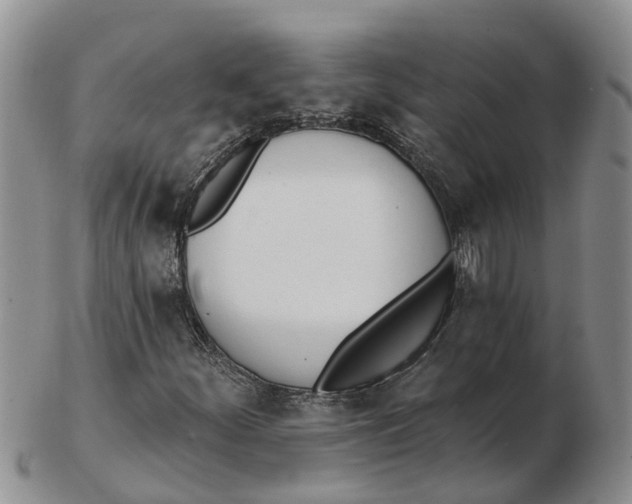 X0000103171252200809121853