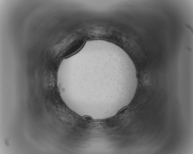 X0000103171253200809121853