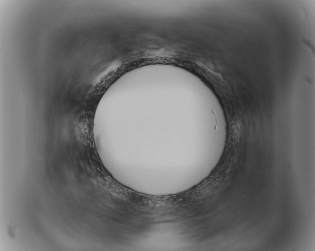 X0000103171254200809121853