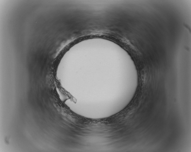 X0000103171256200809121853