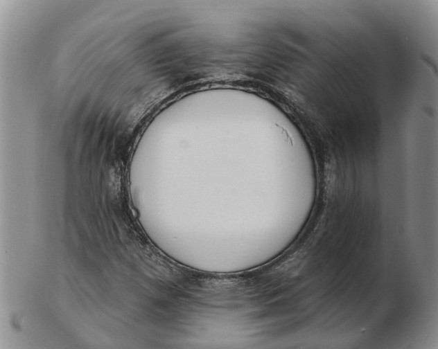 X0000103171257200809121853