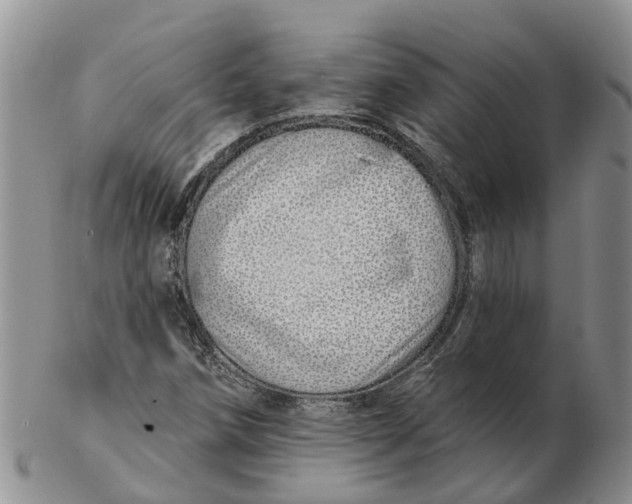 X0000103171258200809121853