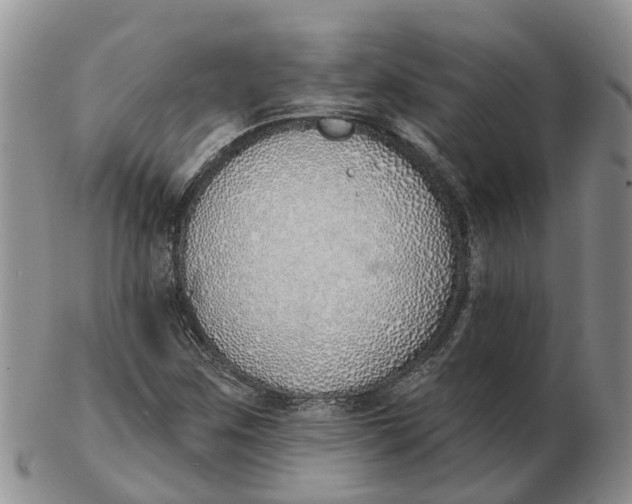 X0000103171259200809121853