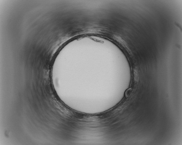 X0000103171260200809121853