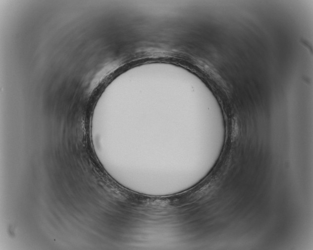 X0000103171261200809121853