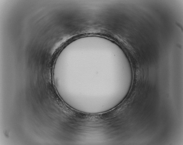 X0000103171262200809121853