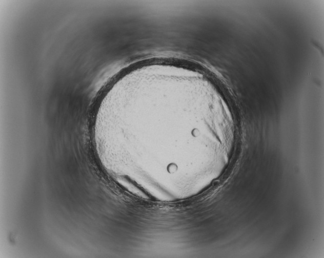 X0000103171263200809121853