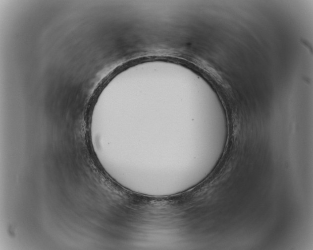 X0000103171264200809121853