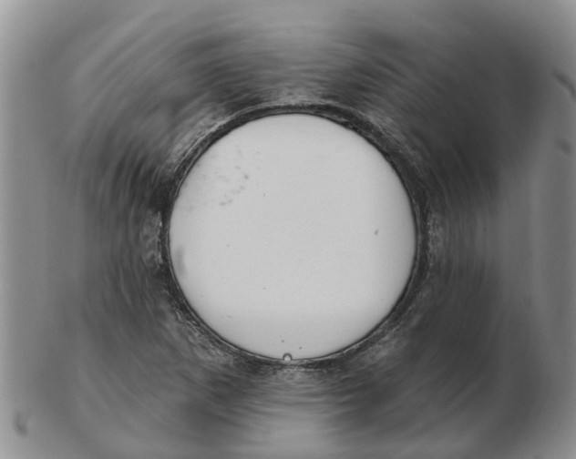 X0000103171265200809121853