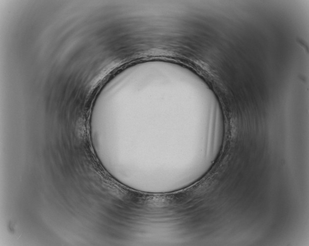 X0000103171266200809121853