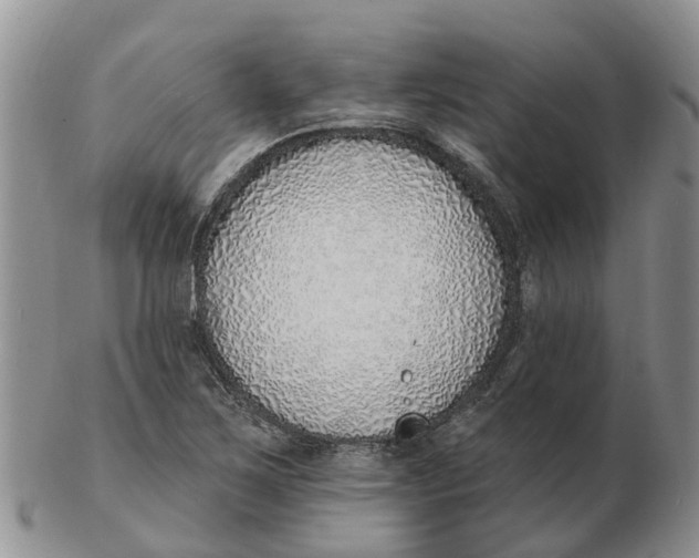 X0000103171267200809121853