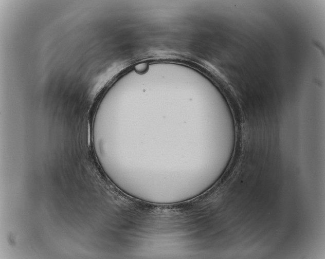 X0000103171269200809121853