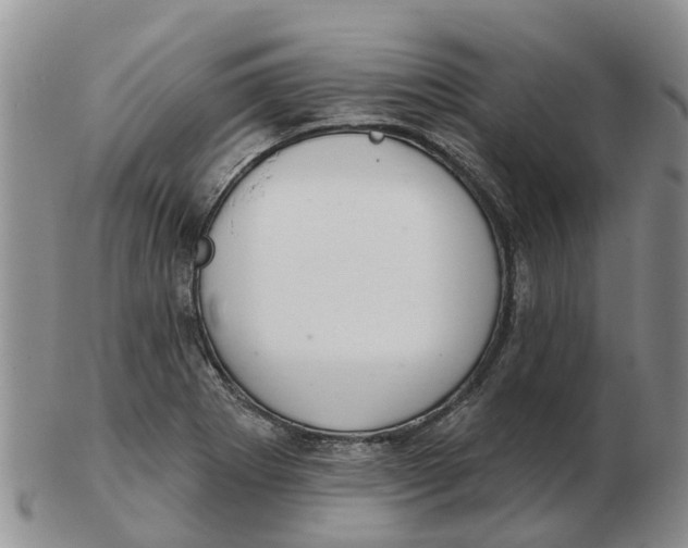 X0000103171273200809121853