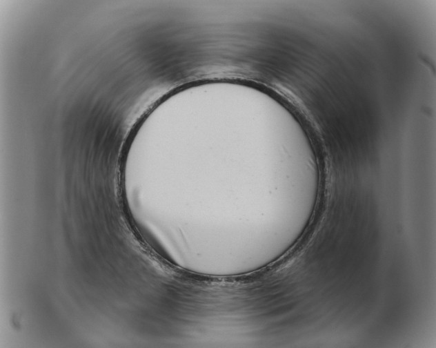 X0000103171277200809121853