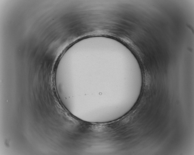 X0000103171278200809121853