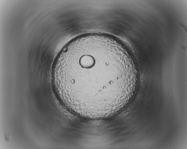 X0000103171279200809121853