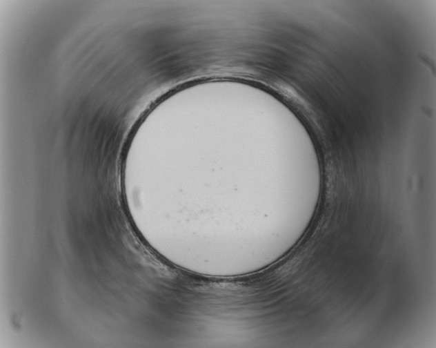 X0000103171280200809121853