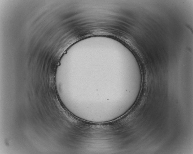 X0000103171281200809121853