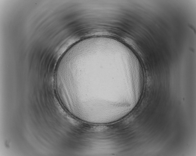 X0000103171282200809121853