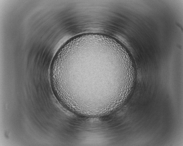 X0000103171283200809121852