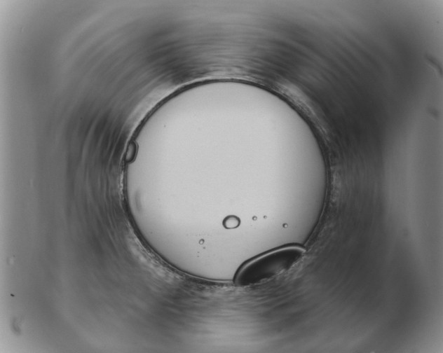 X0000103171284200809121852