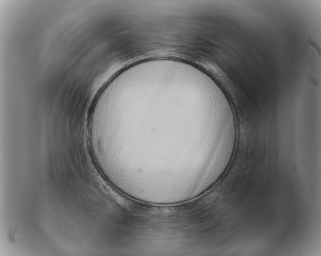 X0000103171286200809121852