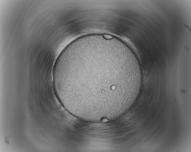 X0000103171287200809121852