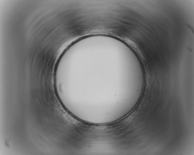 X0000103171288200809121852